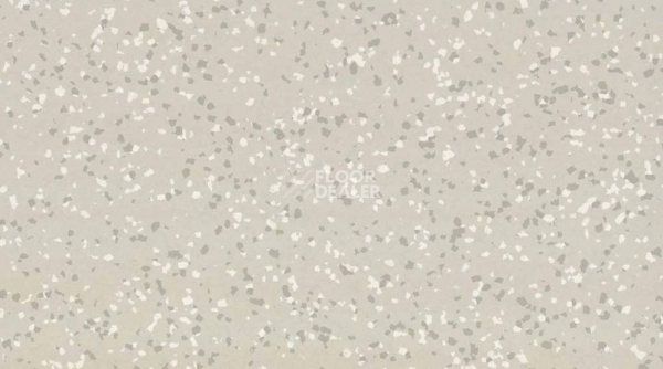 Линолеум Taralay Premium Compact Barazilia 3734 ALMERIM фото 1 | FLOORDEALER